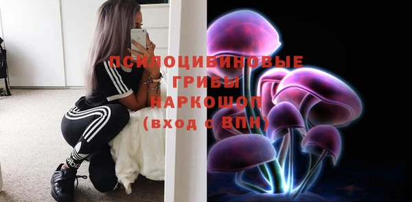 бошки Семикаракорск
